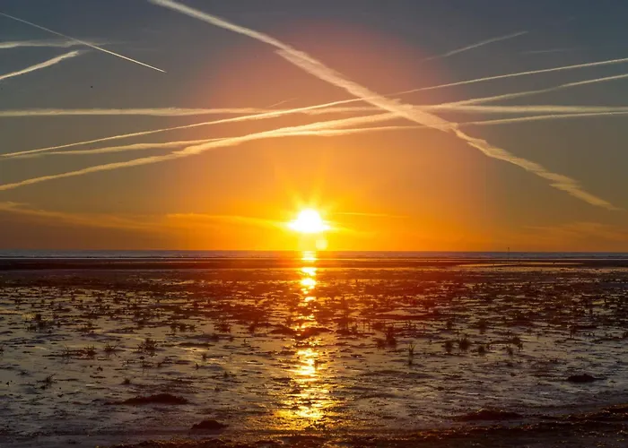 4 Star In Fanø